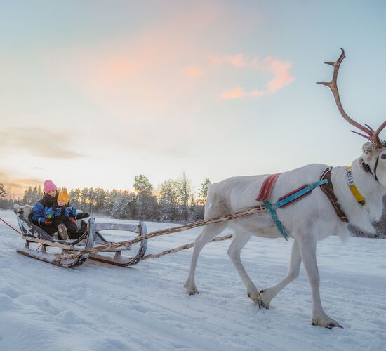 Reindeer ride to Santa © apukka resort